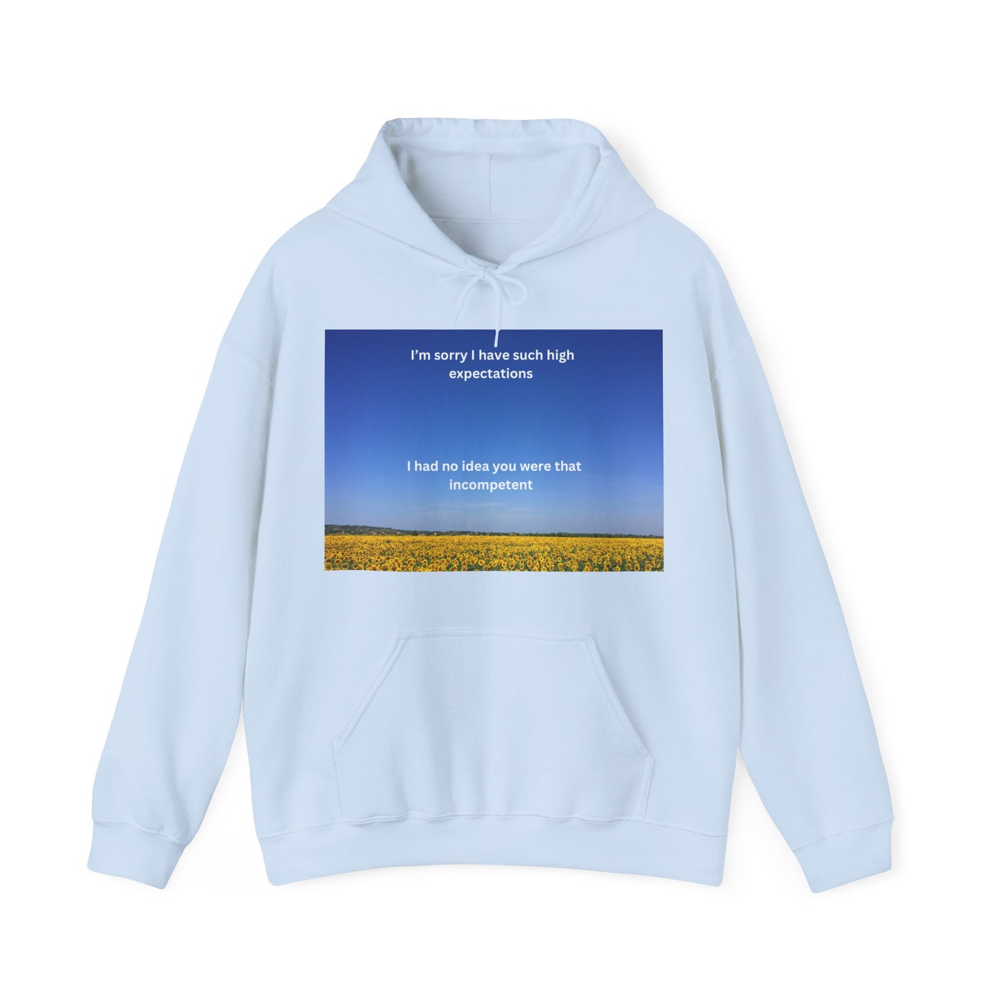 Sorry for having high expectations Hoodie